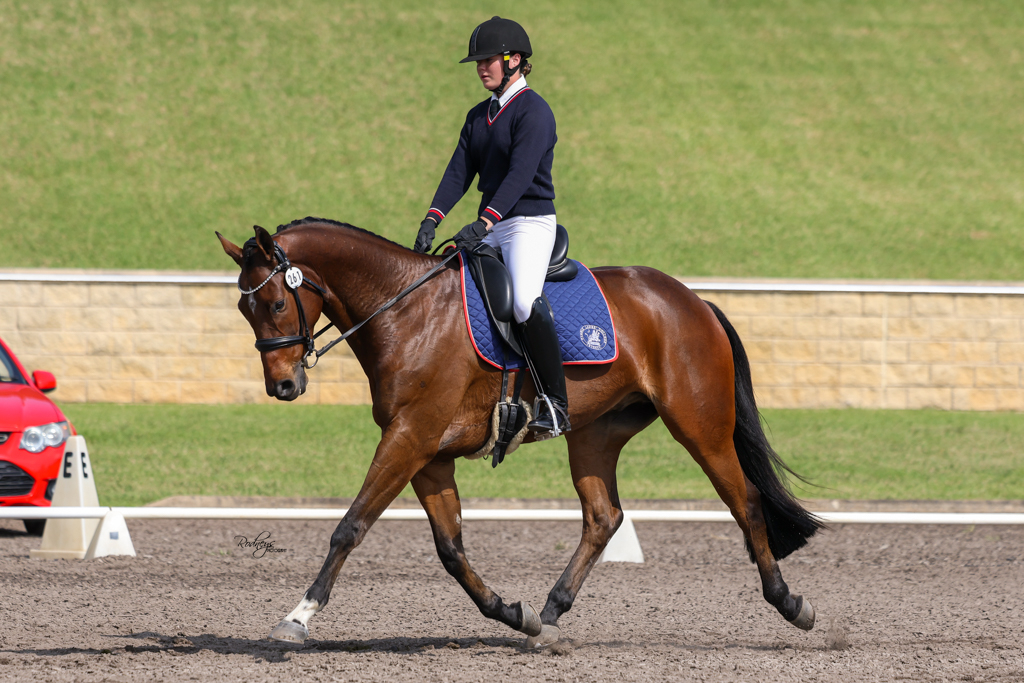 Heritage Stock Horses 2