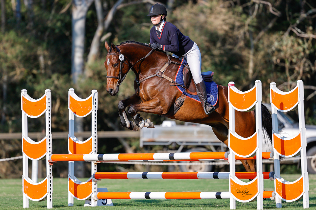 Heritage Stock Horses 3